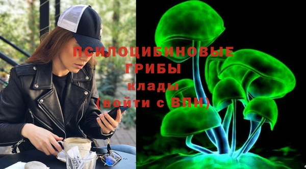 apvp Алексин
