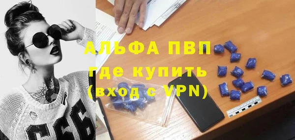 apvp Алзамай