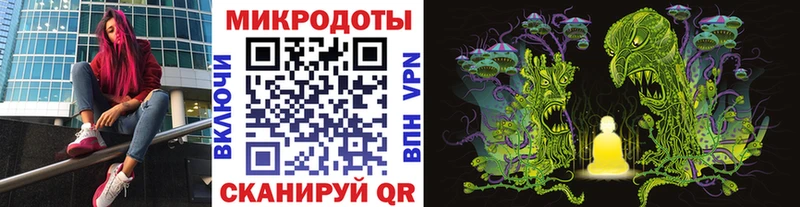 Псилоцибиновые грибы Psilocybine cubensis  Менделеевск 